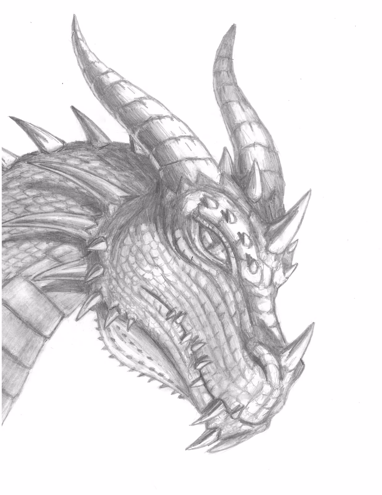 A dragon's head in close profile, rendered in graphite — curved ridged horns sweeping back, spiked scales along the jaw and neck, one watchful eye fixed on the viewer.
